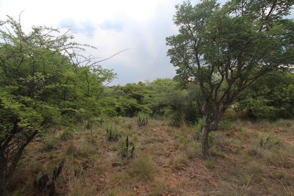 Buy or rent a property | 9 Kestrel Street, Modimolle Nylstroom 0510